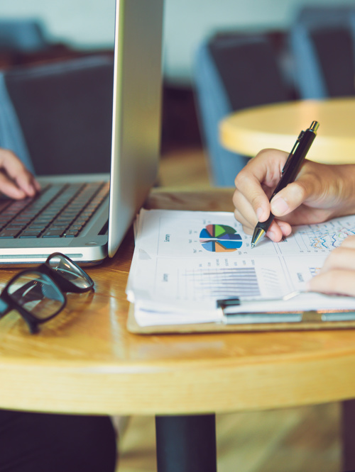 Supply-Side Platform (SSP), Ad Exchange and Prebid Adapter Development